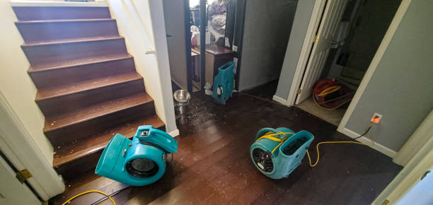 Best Carpet water damage restoration  in Johnson Creek, WI