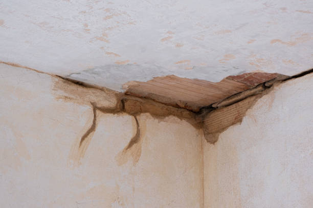 Best Residential water damage restoration  in Johnson Creek, WI
