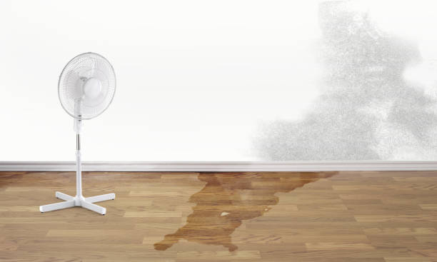 Best Ceiling water damage repair  in Johnson Creek, WI