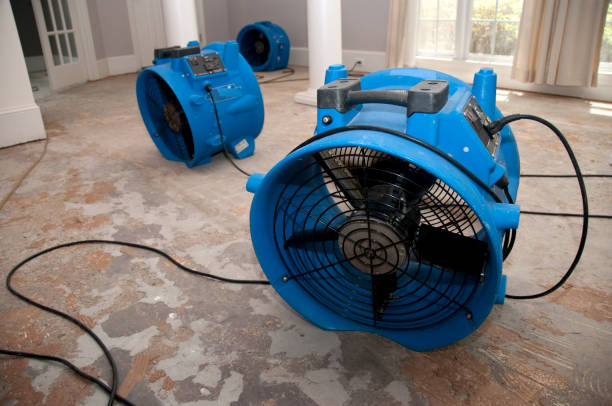 Best Ceiling water damage repair  in Johnson Creek, WI