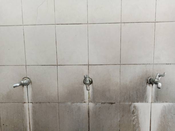Best Water damage restoration services  in Johnson Creek, WI