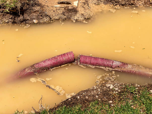 Local water damage restoration in Johnson Creek, WI